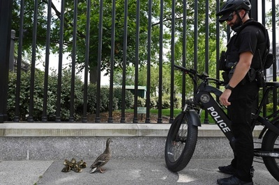 【今日の1枚】敵か味方か、ホワイトハウス前に不審な一家 米