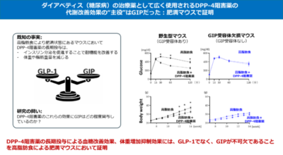 ダイアベティス（糖尿病）治療薬DPP-4阻害薬の“真の主役”はGIPだった!?
