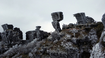 貴州省の梵浄山、世界遺産に登録 固有種の宝庫