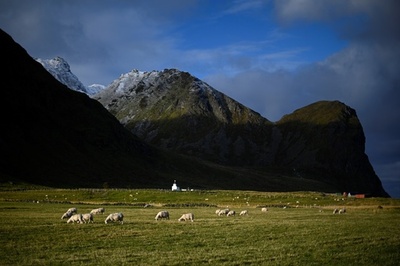 羊100匹余りが川に流される 豪雨で河川氾濫 ノルウェー