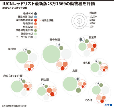 【図解】IUCNレッドリスト最新版：8万1569の動物種を評価