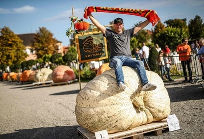 「でかカボチャ」大会、欧州一は1013キロ 独