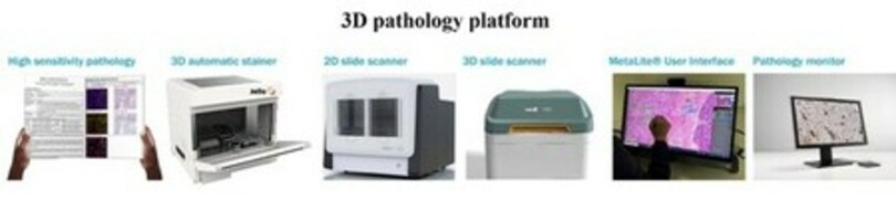 JelloX Biotech、米国に研究拠点を設立