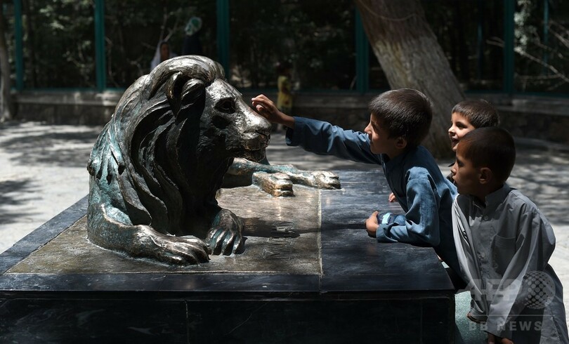 内戦の傷から再建、アフガン唯一の動物園