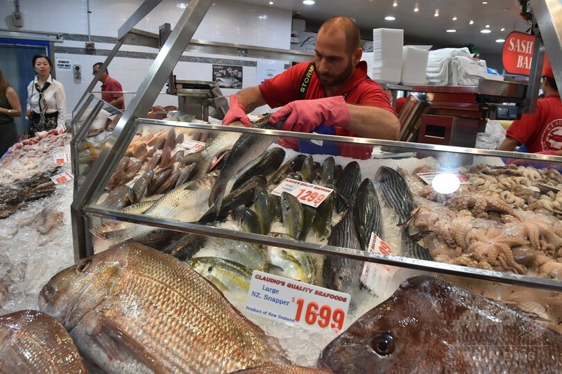 オーストラリアで魚の数が大幅減少 センチ超の種では3割減 研究 写真1枚 国際ニュース Afpbb News