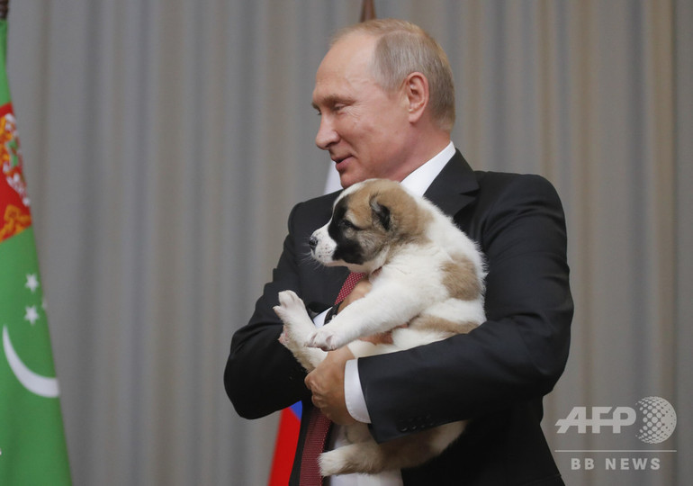 写真特集 ロシアのプーチン大統領がみせる 愛犬家 の顔 写真30枚 国際ニュース Afpbb News