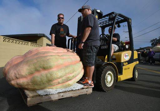 893キロの巨大カボチャ、世界選手権で優勝 米カリフォルニア 写真19枚