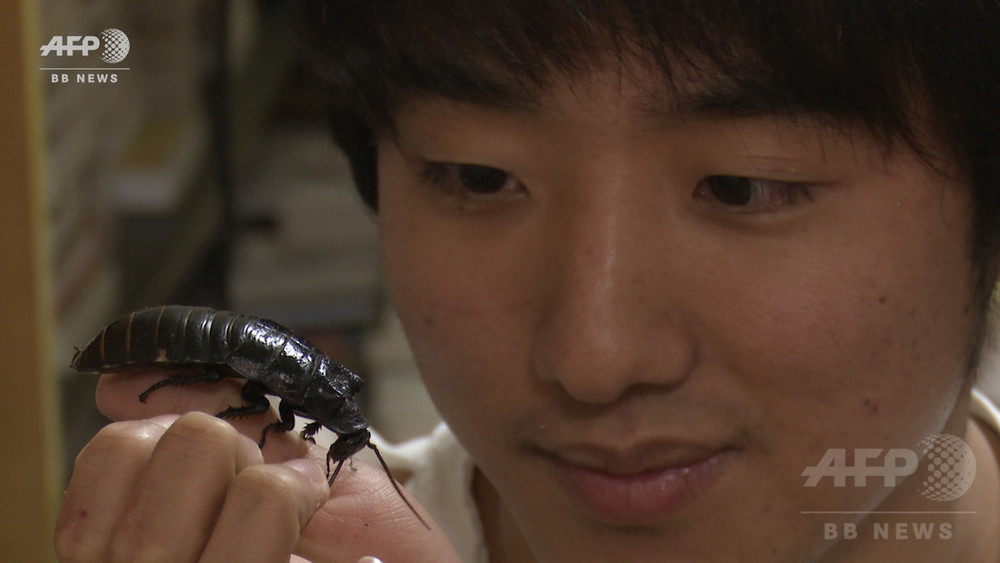 動画 コオロギやゴキブリが食材に 昆虫食伝道師の鍋パーティー 写真21枚 国際ニュース Afpbb News
