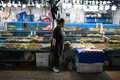 中国・北京の水産物卸売市場（2023年8月24日撮影）。(c)GREG BAKER / AFP
