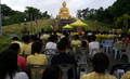 タイ南部ナラティワット（Narathiwat）県で、釈迦（しゃか）の生誕を祝い仏像にお参りする人々（2008年5月19日撮影）。(c)AFP/Madaree TOHLALA