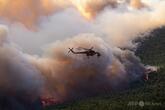 山火事消火中のヘリコプター同士が空中衝突、乗組員2人が死亡 ギリシャ