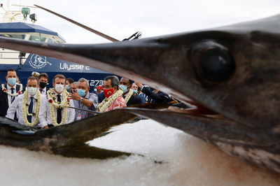 【今日の1枚】メカジキにのみ込まれる？ ポリネシア訪問のマクロン氏