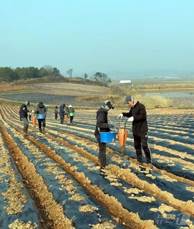 高齢化が進む韓国農村…外国人労働者が支える農繁期の風景