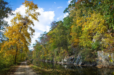 印象派絵画のような紅葉、米ワシントンD.C.
