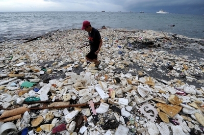 太平洋ごみベルトのごみ、過去40年で100倍に 米研究