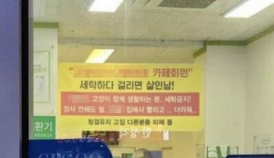野良猫の毛布をコインランドリーで洗濯…韓国・業者が怒りの投稿「家で洗え」