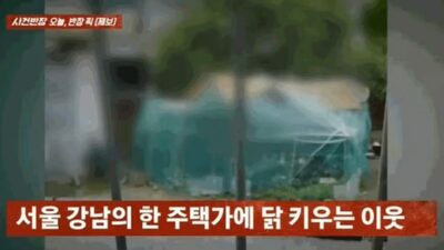 「コケコッコー！」ソウル高級住宅街に響くニワトリの鳴き声…住民悲鳴