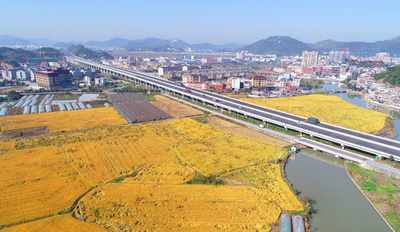 中国の食料生産が過去最高に 18年連続豊作、進む農業の近代化