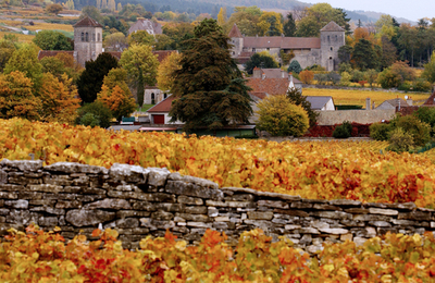 仏ブルゴーニュの老舗シャトー、中国人実業家に高額売却で批判沸騰
