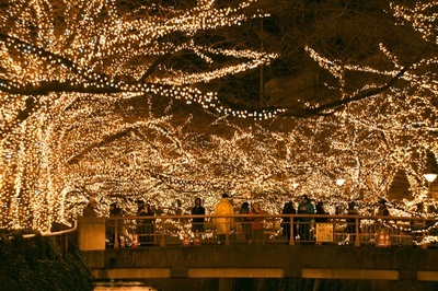 目黒川でイルミネーション、LED電球50万個 東京