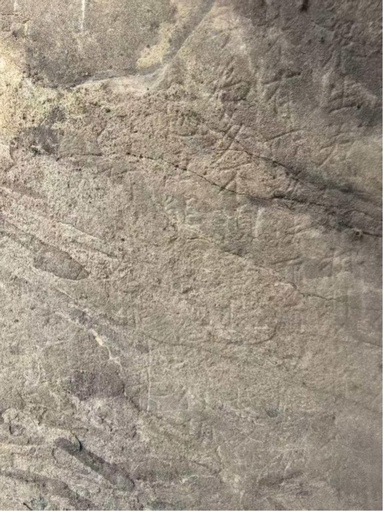 中国の龍門石窟 保護工事中に唐代の石刻「金剛経」を新たに発見