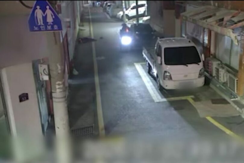 釜山北部警察署提供(c)MONEYTODAY