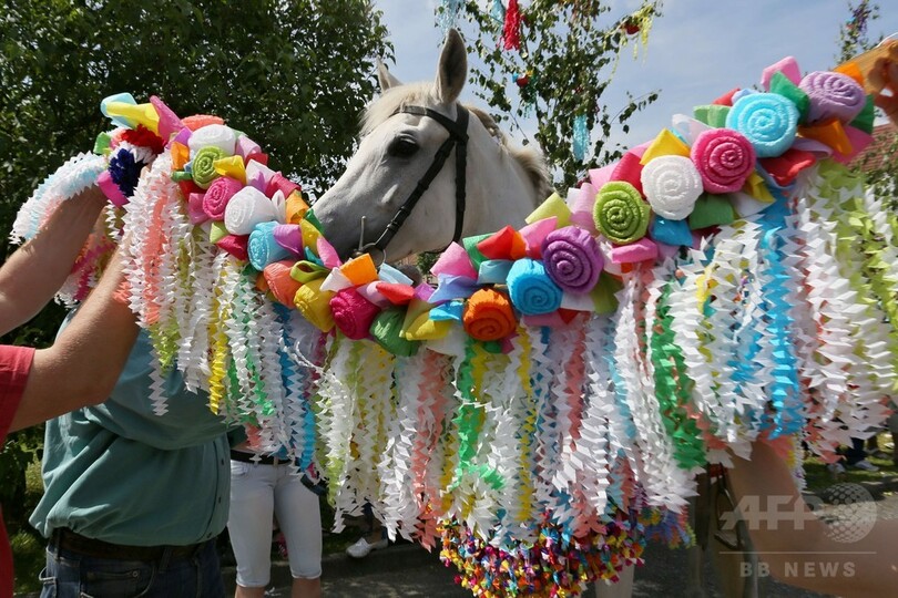 華やかな民族衣装で騎馬行列、チェコの伝統行事「王様騎行」