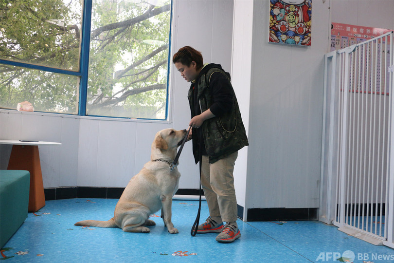 中国でペットの「しつけ学校」が人気 かわいい「家族」のため5万円の月謝も平気