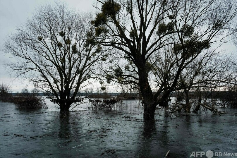 ロシアの進軍阻むため水浸しになった村、忍耐の限界に ウクライナ