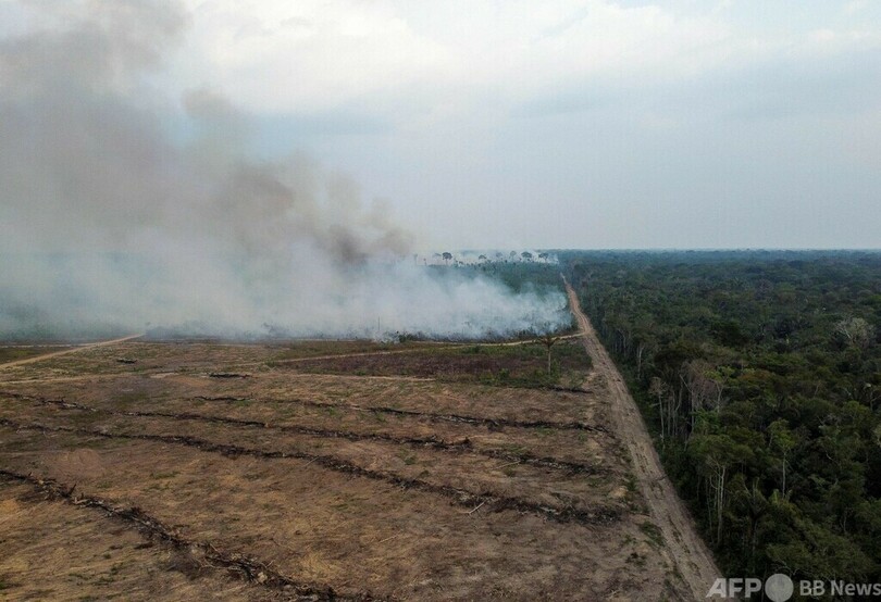 アマゾン森林火災、9月前半に記録的増加率 1日平均1400件