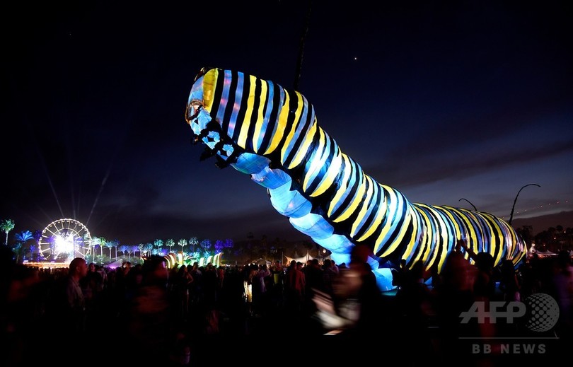 華麗なる変身 芋虫からチョウへ 米野外フェスに巨大アート 写真17枚 国際ニュース Afpbb News