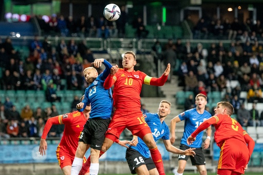 オランダ大勝 ウェールズは1位通過の望みつなぐ W杯欧州予選 写真10枚 国際ニュース Afpbb News