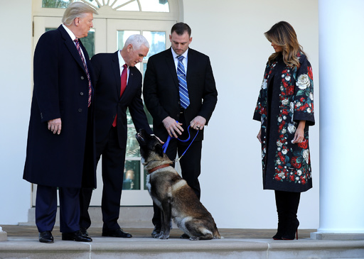 対is作戦の英雄犬披露 トランプ氏 素晴らしい働き 称賛 写真10枚 国際ニュース Afpbb News