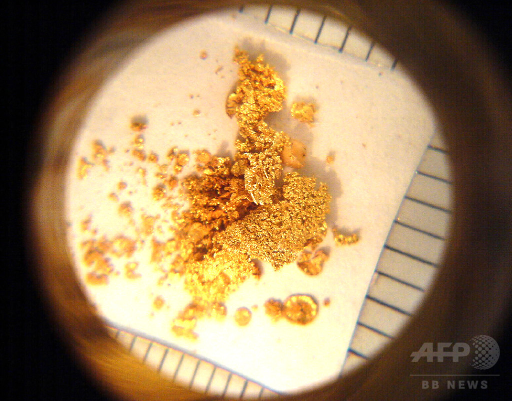 排せつ物は金の山?プラチナや銀も 米研究 排せつ物は金の山?プラチナや銀も 米研究