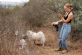 イスラエル北部ハイファ近郊で、愛犬の散歩中に「クリーン・コイン」アプリを確認しながらごみ拾いをするエリシャ・ベンマイアーさん（2021年10月20日撮影）。(c)JACK GUEZ / AFP