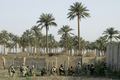 イラク・バグダッド（Baghdad）東部郊外のAl-Rudwaniyahで行われた米軍・イラク軍合同作戦で、ブラックホーク（Blackhawk）ヘリコプターから降りた後配置に付く米兵とイラク兵ら（2008年5月2日撮影）。(c)AFP/MAURICIO LIMA