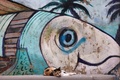 イスラエル北部アッコで、魚の壁画の前で休む猫（2021年4月26日撮影）。(c)Emmanuel DUNAND / AFP