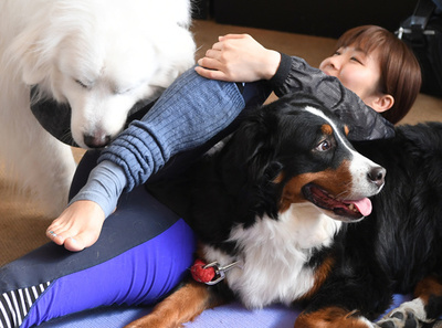 犬や猫と楽しむヨガ教室　首都圏で人気じわり