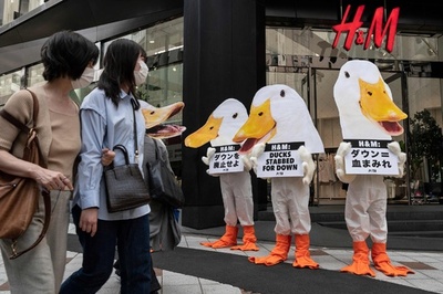 ダウン廃止を 動物愛護団体、渋谷で抗議デモ