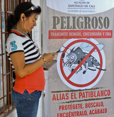 ジカ熱、妊娠初期の感染で小頭症リスク最大13％に 研究