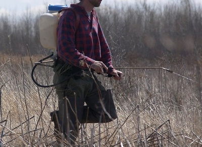 害虫駆除で致死量の化学物質散布、乳児含む3人死亡 ルーマニア