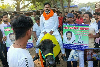 水牛に乗ってアピールのはずが…動物虐待で起訴へ インド政治家