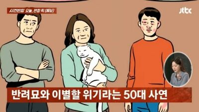 「息子ではなく猫」を選んだ父親…韓国「猫アレルギー」の息子に「もう30代なんだから出て行け」で家庭に危機