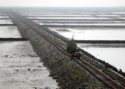 クリスマスツリー、線路に乗ってどこへ行く？