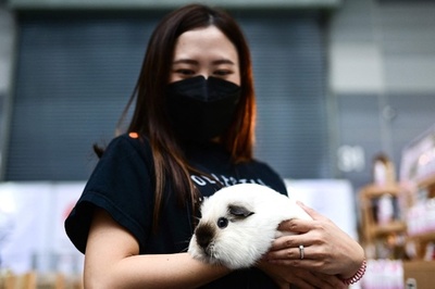 犬や猫だけじゃない！ ペット用品などの展示会開催 タイ