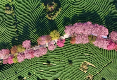 【写真特集】中国の大地 四季の美しさを愛でる