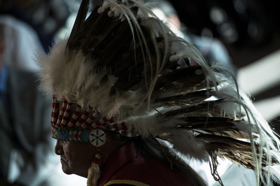 米先住民に2系統の祖先、DNA分析で示唆