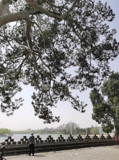 中国「清明節」3連休、国内旅行者数は延べ7541万9000人