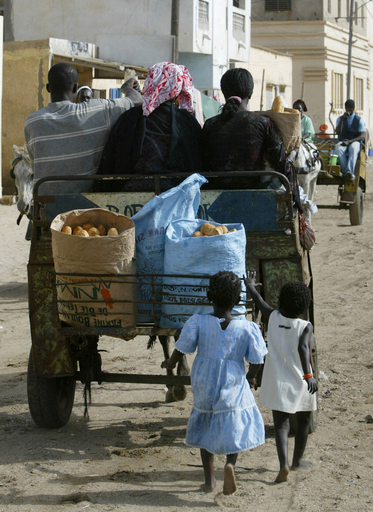 不法移民取締、1500人以上を拘束 - セネガル