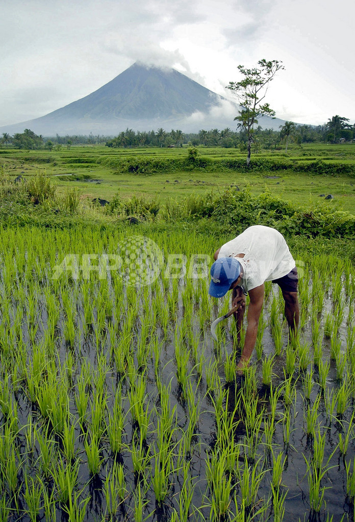 「稲作」も地球温暖化を促進する？